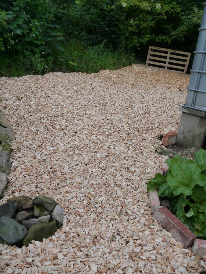 Elfenhaeuschen Mit 3 Dtv Sternen Ausgezeichnet Villa Bad Harzburg Eksteriør bilde