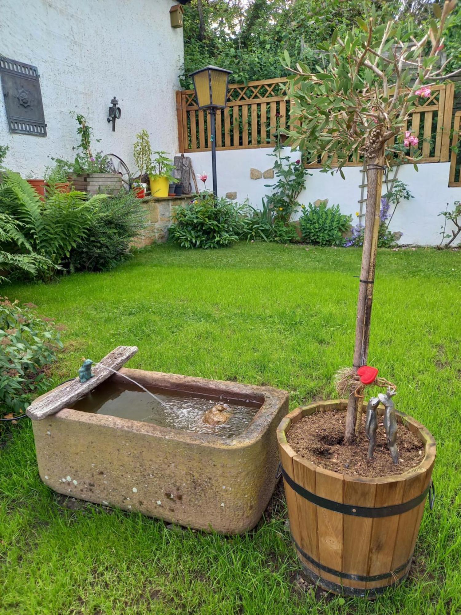 Elfenhaeuschen Mit 3 Dtv Sternen Ausgezeichnet Villa Bad Harzburg Eksteriør bilde