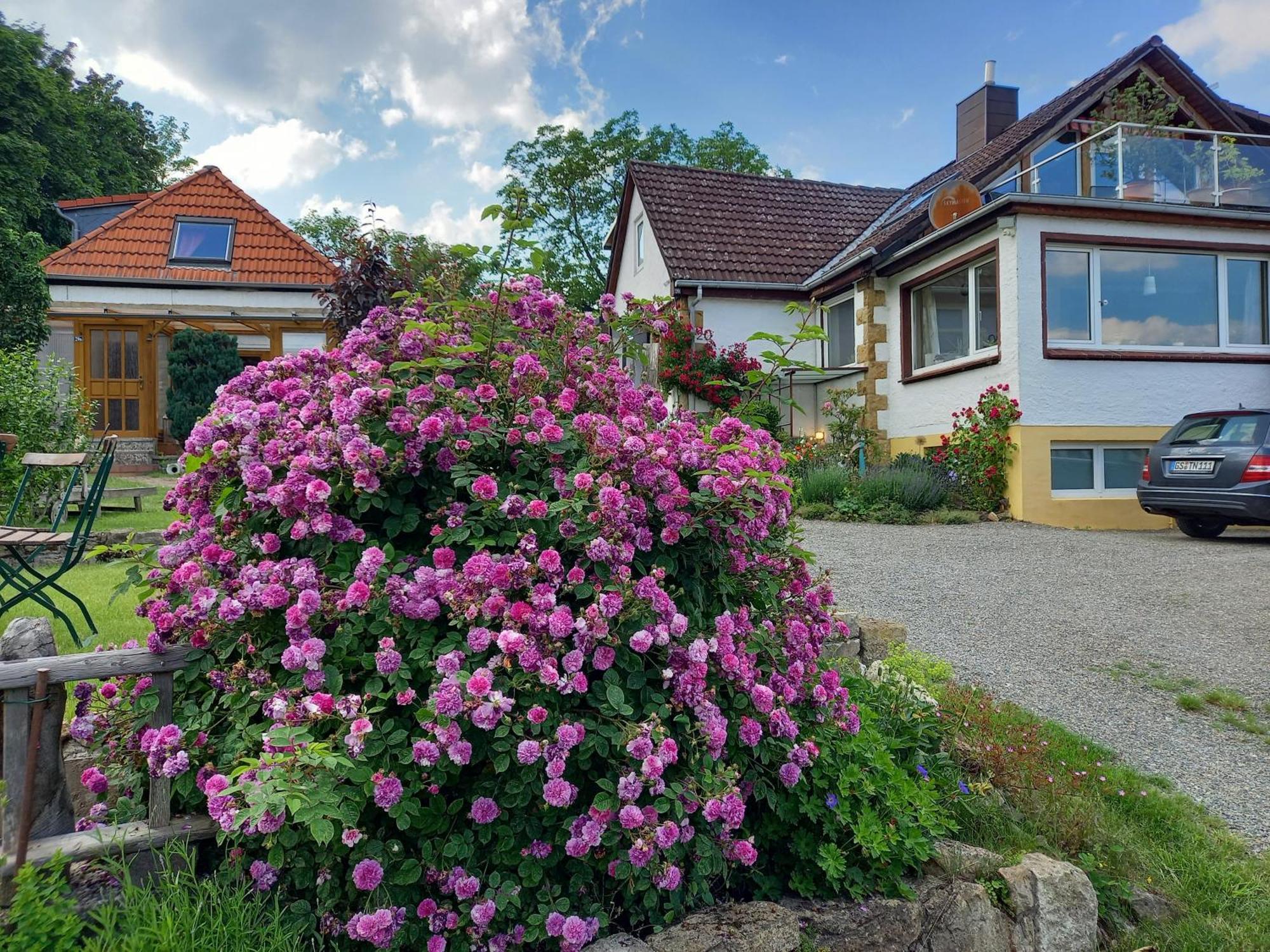 Elfenhaeuschen Mit 3 Dtv Sternen Ausgezeichnet Villa Bad Harzburg Eksteriør bilde